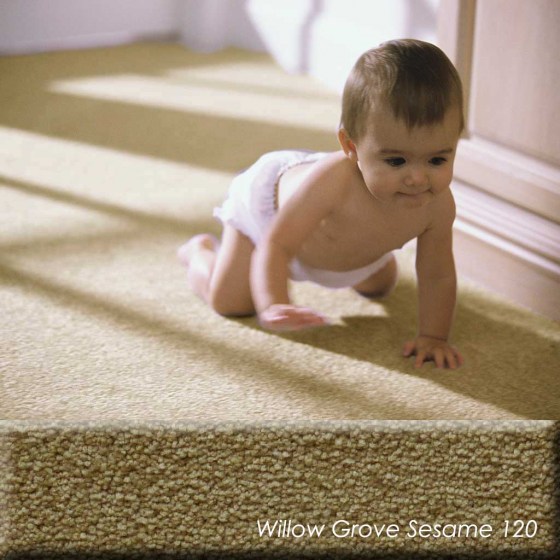 Willow Grove with carpet 2